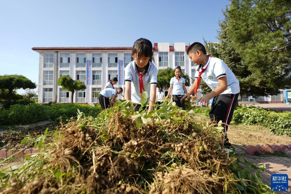 白家乐小路长顶路打法